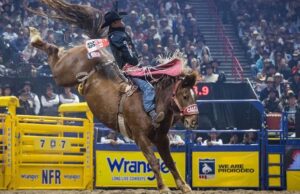 How to watch National Finals Rodeo Online From Anywhere