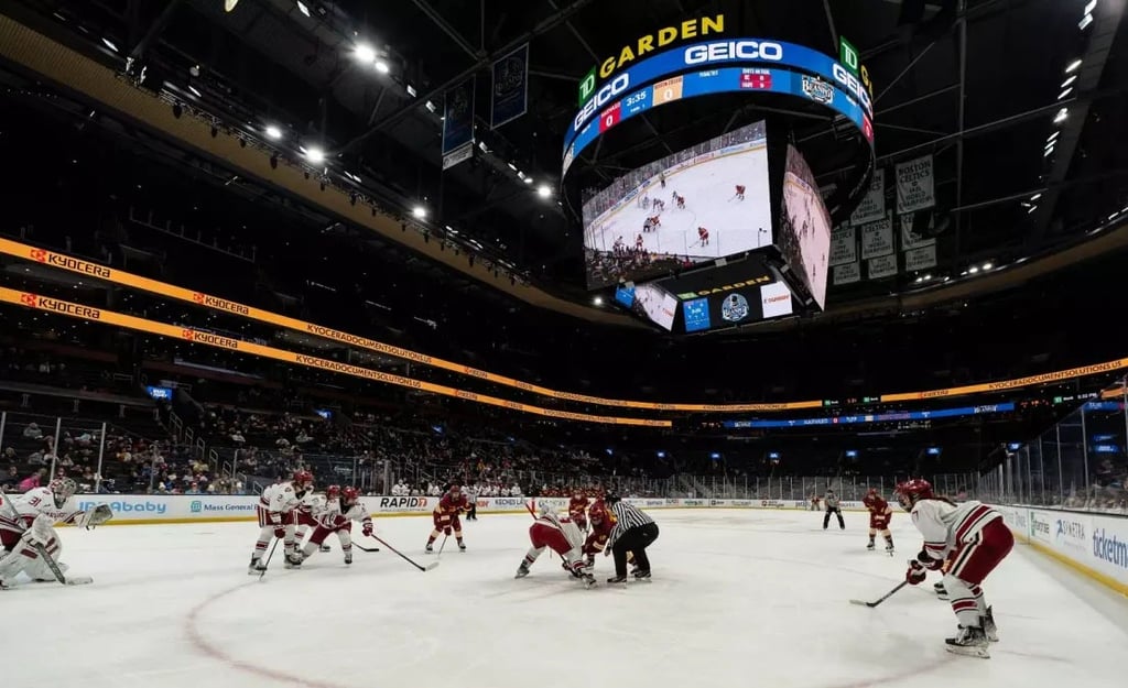 northeastern-vs-harvard