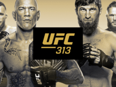 UFC 313: Pereira vs. Ankalaev – Watch Live with “MYA CAST”, the Best and Cheapest Streaming Service